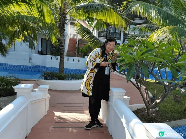 廈門,廣西,昆明,越南