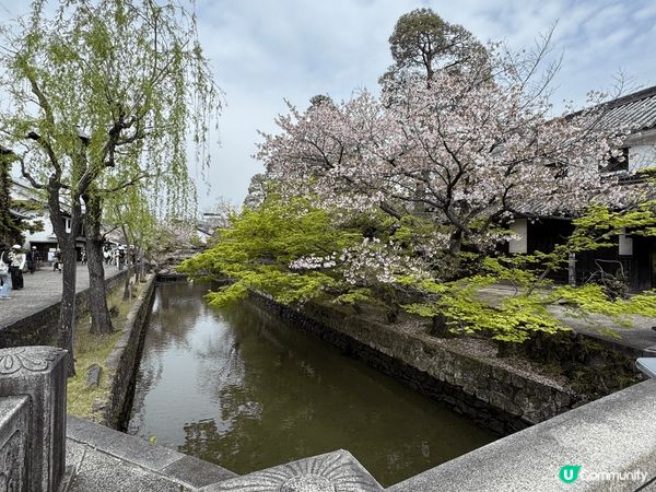 我今日想同大家介紹日本岡山縣倉敷市的「倉敷美觀地區（又稱美觀...