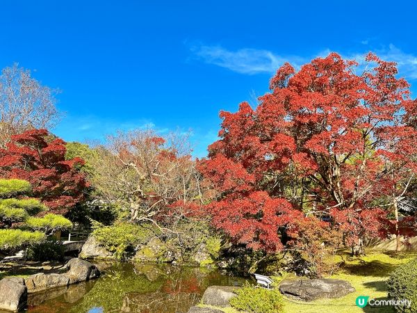 日本大阪近郊，又是一大體驗
