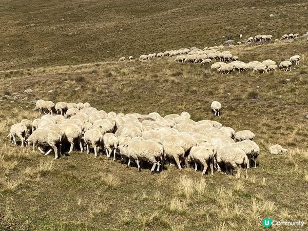 ［格魯吉亞旅遊］格魯吉亞斯特潘茨明達