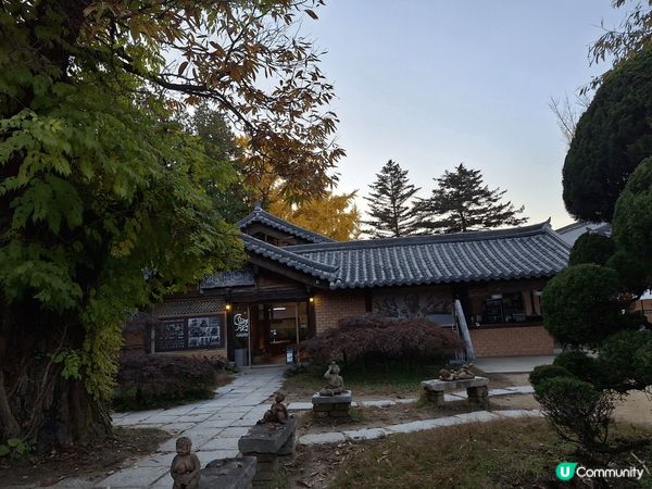 🍂✨ 去年的南怡島，還留在我心上 ✨🍂  