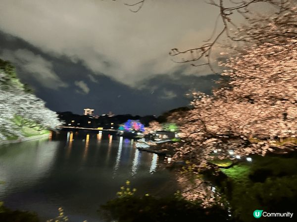東京千島之淵是東京三大賞櫻景點之一，在皇居外，春天盛開時兩旁...