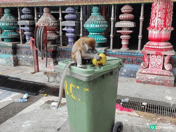 雲頂高原黑風洞