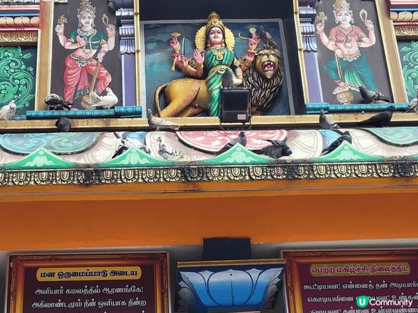 雲頂高原黑風洞