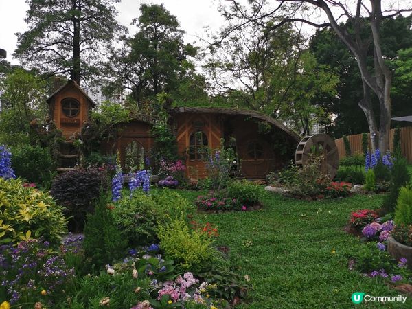 位於天水圍天榮路之天水圍公司內面有好多不同主題可以打卡，觀賞...