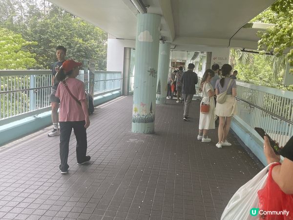 鬧市中一點花～機緣巧合經過奧海城三期天橋門口，行入天橋一刻都...