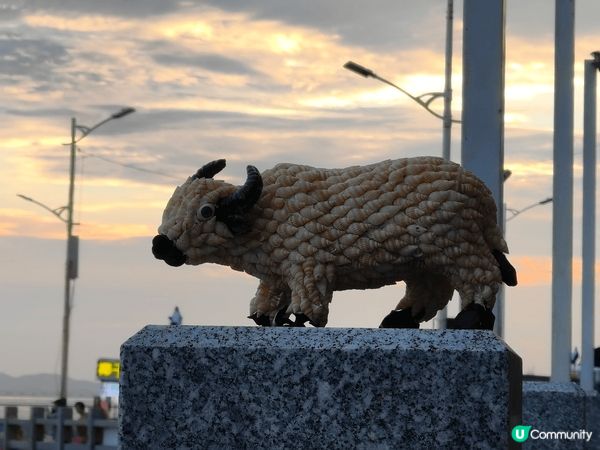 🌊 五一沙扒灣夜遊記：煙花、海鮮與夜未眠🌙