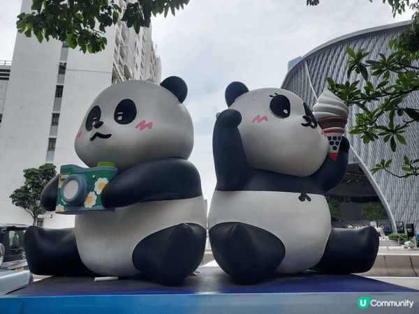 在尖沙咀戲曲中心附近拍攝，香港的熊貓旅遊。