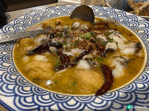 屋企附近開咗一間酸菜魚專門店，我推介二人套餐連米線酸菜魚，份...