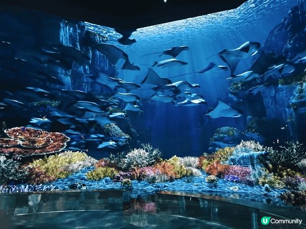 坡州Museum Hei 係南韓首都圈最大規模嘅媒體藝術專用...