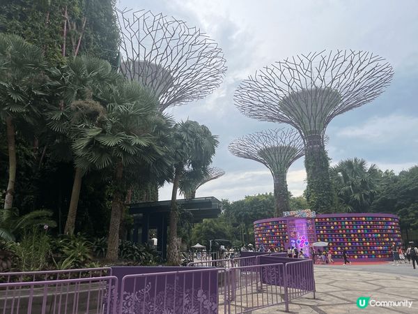 去完星加坡嘅Gardens by the Bay參觀完，梗係...