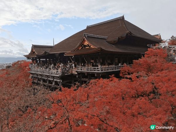 京都清水寺的壯麗景色，寺院座落於音羽山之上，與周圍茂密的紅葉...