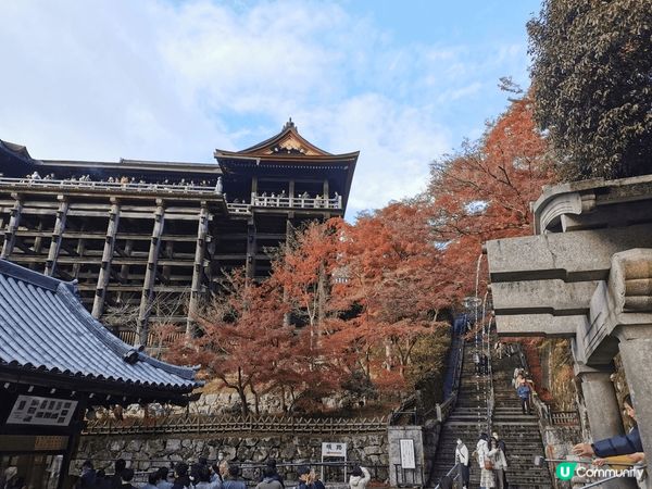 京都清水寺的壯麗景色，寺院座落於音羽山之上，與周圍茂密的紅葉...