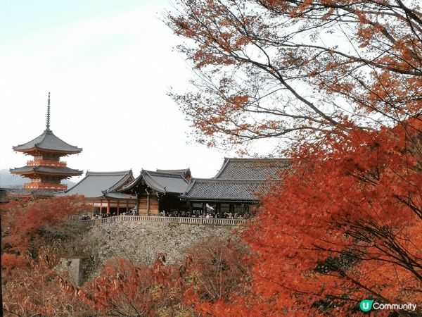 京都清水寺的壯麗景色，寺院座落於音羽山之上，與周圍茂密的紅葉...