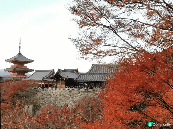 京都清水寺的壯麗景色，寺院座落於音羽山之上，與周圍茂密的紅葉...