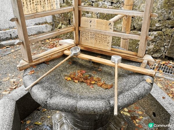 京都清水寺的壯麗景色，寺院座落於音羽山之上，與周圍茂密的紅葉...