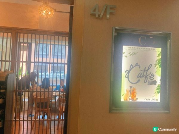 旺角｜療癒貓貓Cafe🐈