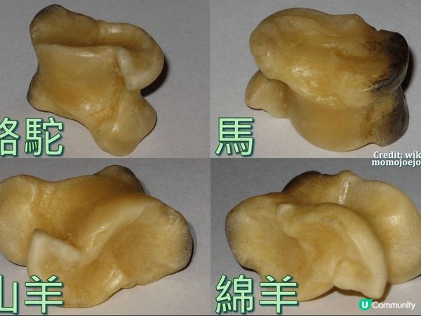 【蒙古自由行】沙嘎、韓餐與火車邊境線 —烏蘭巴托的最後一天