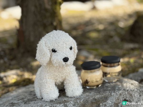 同我嘅寶貝寵物替身旅行