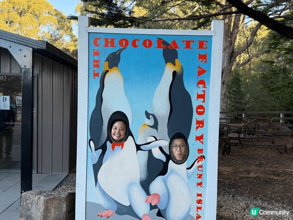 塔斯曼尼亞環境優美，好幸運遇到好天氣！在Bruny isla...