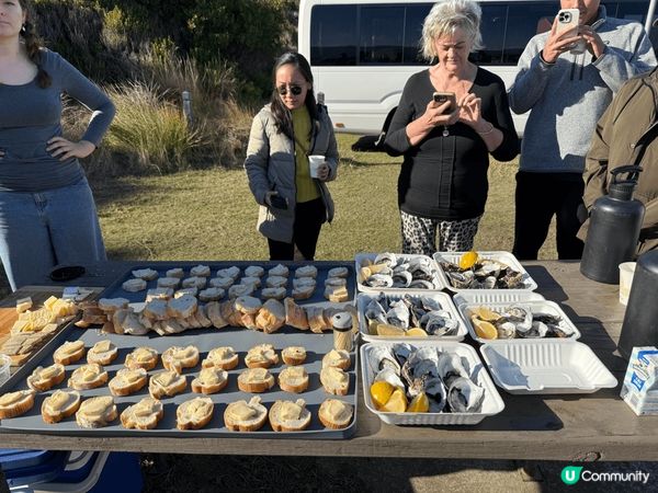塔斯曼尼亞環境優美，好幸運遇到好天氣！在Bruny isla...