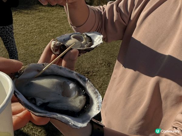 塔斯曼尼亞環境優美，好幸運遇到好天氣！在Bruny isla...