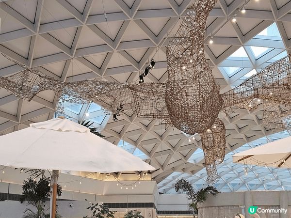 超級靚既打卡熱點