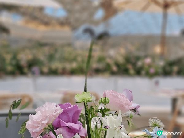 超級靚既打卡熱點