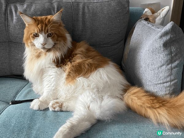 我最鍾意就係食野