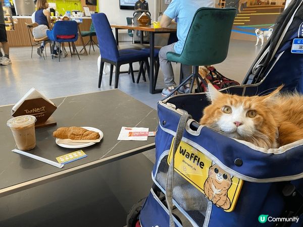 我最鍾意就係食野