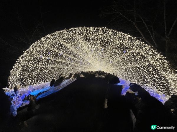 日本三重縣名花之里有國內最大型的燈光Show，處處打卡位，非...