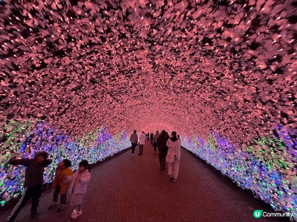 日本三重縣名花之里有國內最大型的燈光Show，處處打卡位，非...