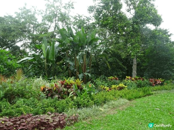 洪湖公園又大又靚，陽光普照，空氣又清新，好多靚景影相，可以比...