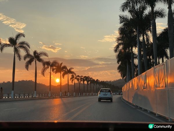 今日想介紹打卡熱點珠海淇澳島，一個非常美麗且可通車的小島，可...