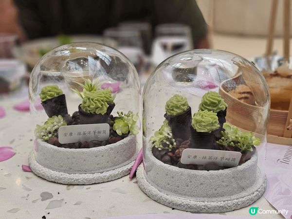 美麗嘅打卡熱點