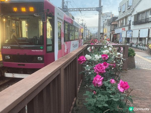 東京百年電車站