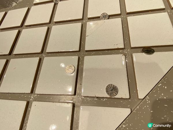 四洲零食館探險記 🍟🤩