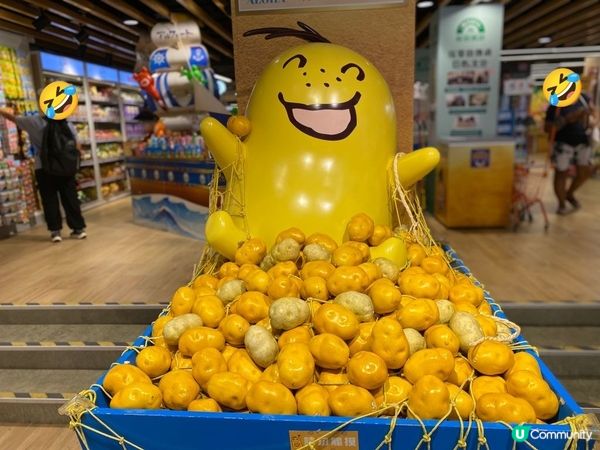 四洲零食館探險記 🍟🤩