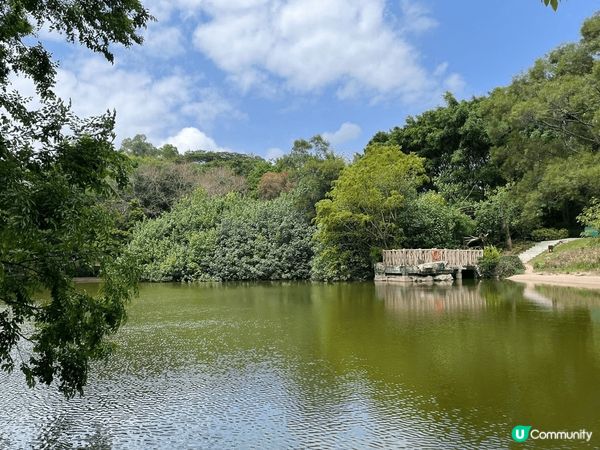 深圳超大園林藝術公園