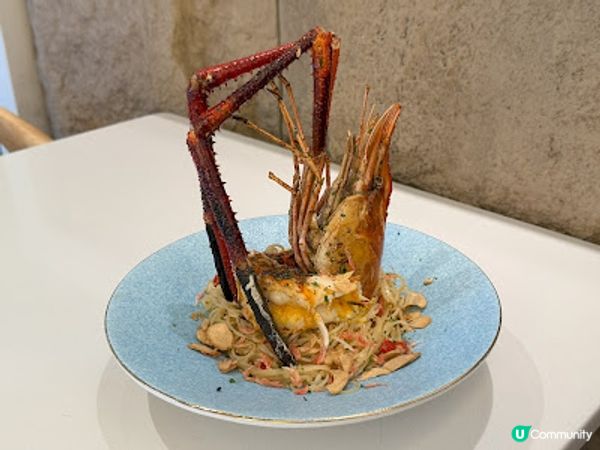 既是隱世小店 又是愛寵樂園