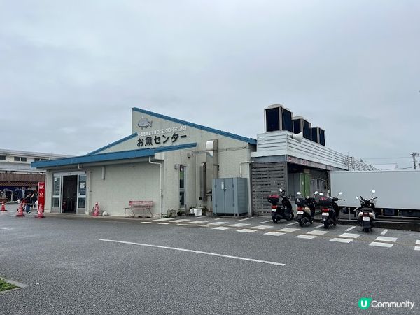 泊港 vs 系滿魚市場！邊個好食啲？🍣😋