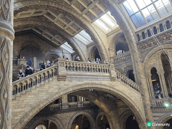 倫敦自然史博物館 
