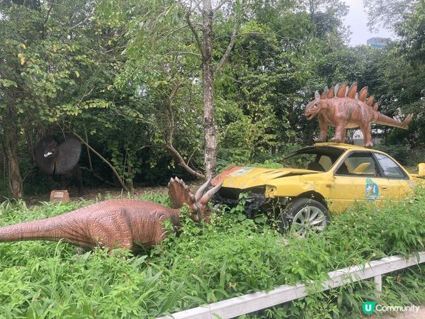 香港都有個侏羅紀公園，內有多隻不同造型的恐龍，有些還會動，值...