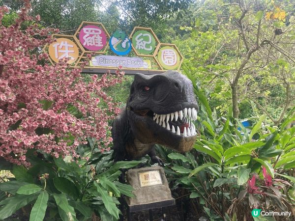 香港都有個侏羅紀公園，內有多隻不同造型的恐龍，有些還會動，值...