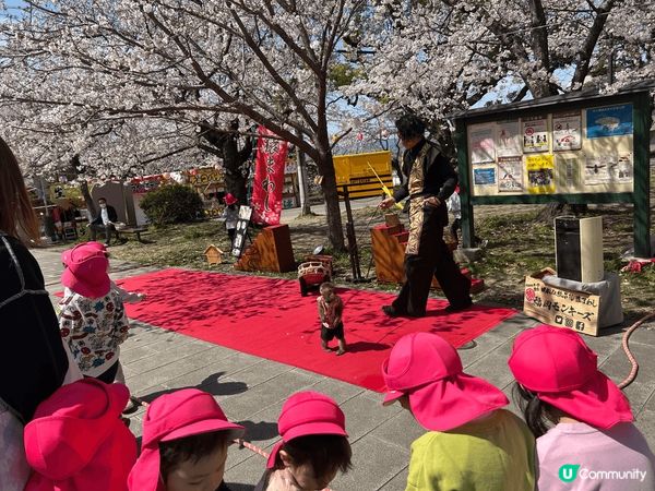 今年三月尾去了日本九州賞櫻，福岡西公園櫻花盛放，除了有食物攤...