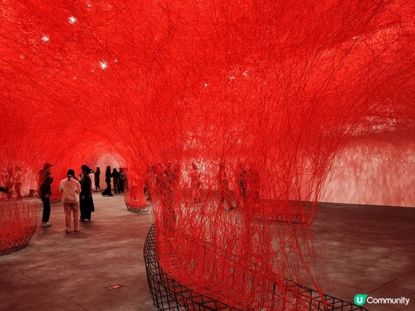 一入展場就被紅線包圍，好似人嘅血管咁交織成網，真係好震撼！鹽...