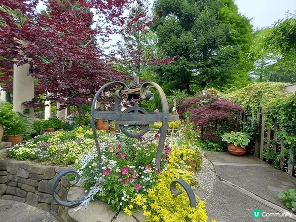 位於名古屋嘅鶴舞公園玫瑰園係一個好靚嘅打卡地點，鮮豔盛放嘅各...