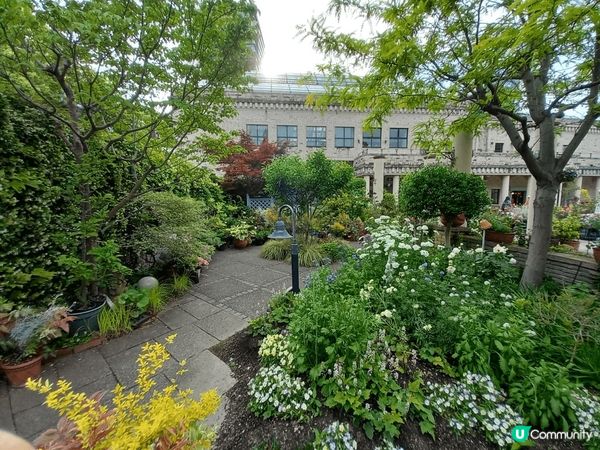 位於名古屋嘅鶴舞公園玫瑰園係一個好靚嘅打卡地點，鮮豔盛放嘅各...