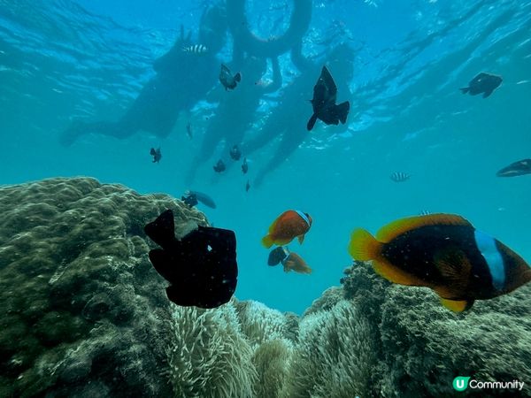 墾丁浮潛、潛水、SUP