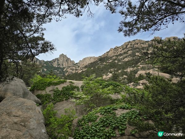 #青島 #嶗山 #華嚴景區